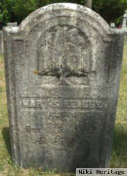 Mary S Healey