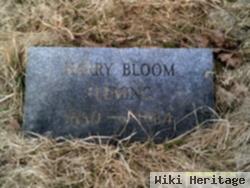 Harry Bloom Fleming