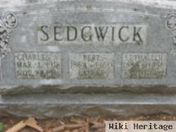 Letha Lou Sedgwick