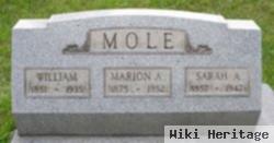 Sarah A. Blantern Mole