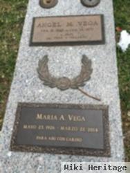 Angel M. Vega