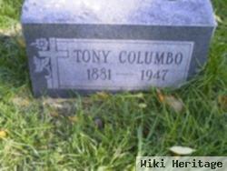 Tony Columbo