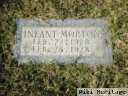 Infant Morton