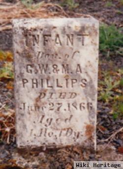 Infant Phillips