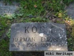 Herman Koch