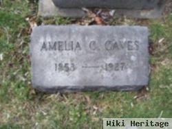 Amelia C Andreas Caves