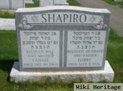 Harry Shapiro