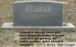 Mary Elizabeth Antley