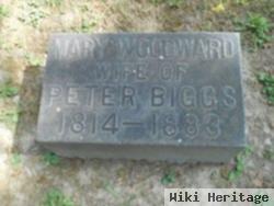 Mary Biggs Biggs