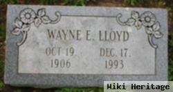 Wayne E Lloyd