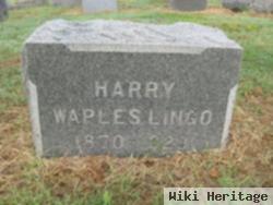 Harry Waples Lingo
