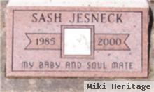 Sash Jesneck