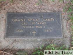 Grant Spray Carey, Sr