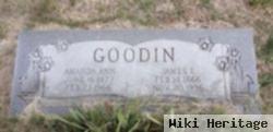 James E Goodin