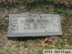 Albert Nelson