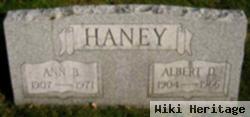 Ann B Haney