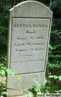 Seneca Briggs