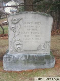 James Shea