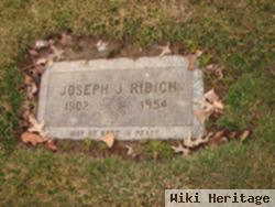 Joseph J Ribich