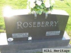 Harold E Roseberry