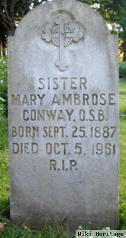 Sr Mary Ambrose Conway