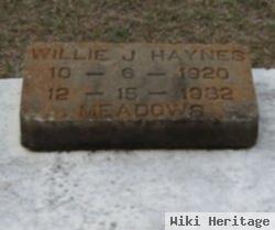 Willie J Haynes