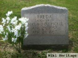 Freda Pickle