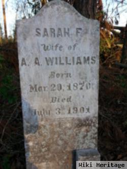 Sarah F Williams