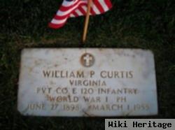 William P Curtis