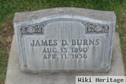 James David Burns