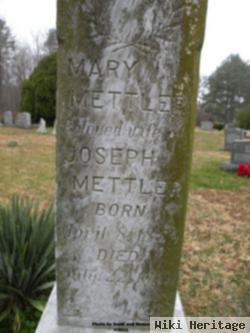 Mary Mettler