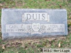 Lydia Ann Hittle Duis