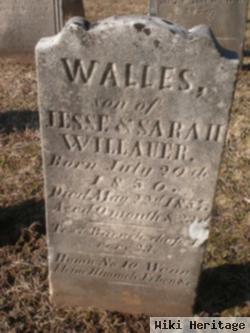 Wallace Willauer