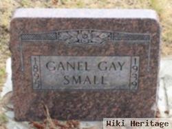 Ganel Gay Small