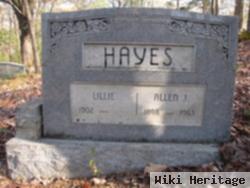 Allen J. Hayes