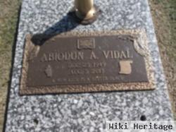 Abiodun A Vidal