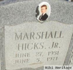 Marshall Hicks, Jr