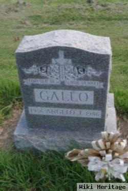 Angelo J Gallo