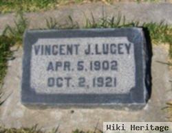 Vincent J Lucey