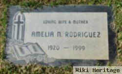 Amelia N Rodriguez