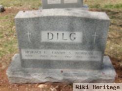 Horace E Dilg