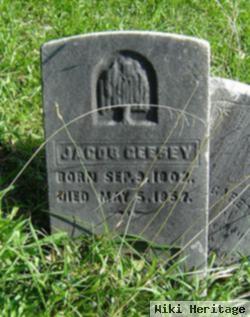 Jacob Geesey