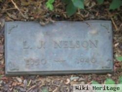 L. J. Nelson