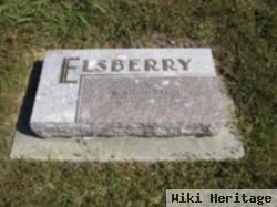 William F Elsberry