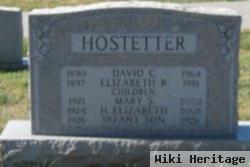 David C Hostetter