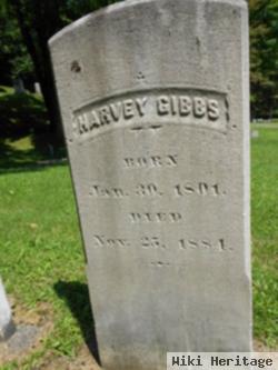 Harvey Gibbs