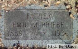 Emil Michael Priebe