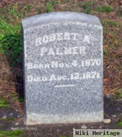 Robert A Palmer