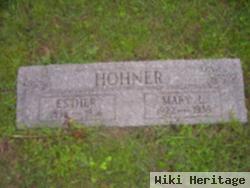 Mary L Hohner