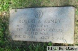 Robert A Abney